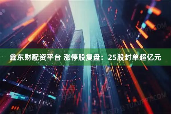 鑫东财配资平台 涨停股复盘：25股封单超亿元