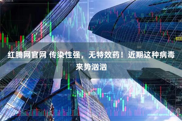 红腾网官网 传染性强，无特效药！近期这种病毒来势汹汹