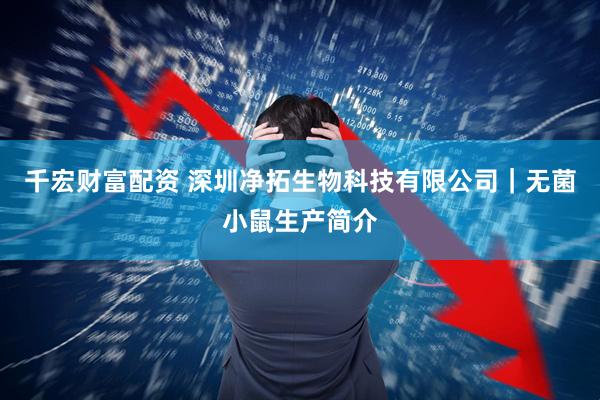 千宏财富配资 深圳净拓生物科技有限公司｜无菌小鼠生产简介