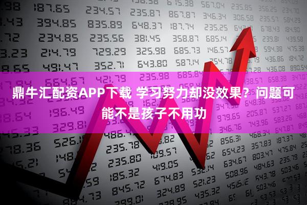 鼎牛汇配资APP下载 学习努力却没效果？问题可能不是孩子不用功