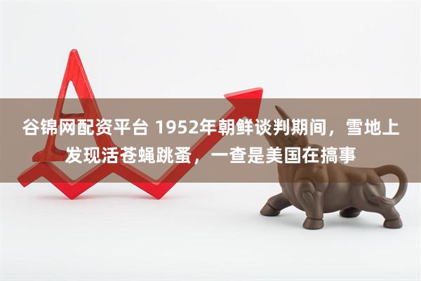 谷锦网配资平台 1952年朝鲜谈判期间，雪地上发现活苍蝇跳蚤，一查是美国在搞事