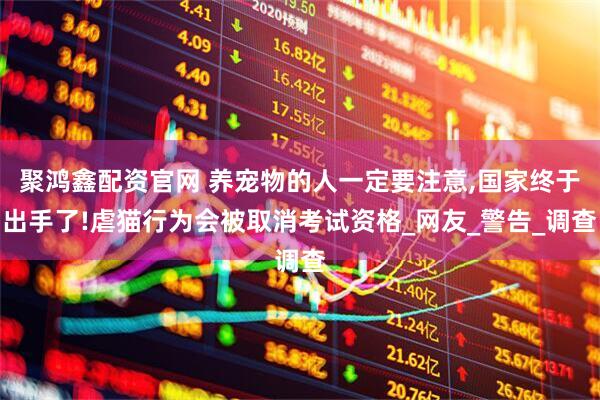 聚鸿鑫配资官网 养宠物的人一定要注意,国家终于出手了!虐猫行为会被取消考试资格_网友_警告_调查
