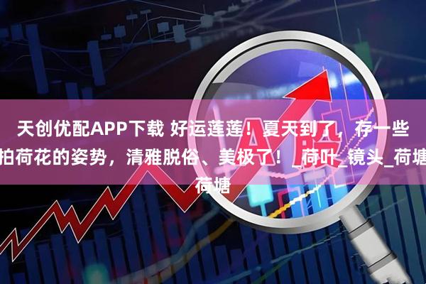 天创优配APP下载 好运莲莲！夏天到了，存一些拍荷花的姿势，清雅脱俗、美极了！_荷叶_镜头_荷塘