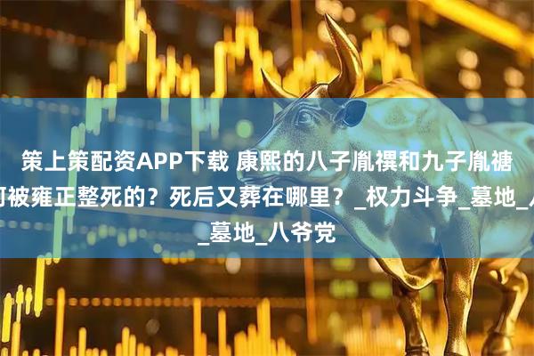 策上策配资APP下载 康熙的八子胤禩和九子胤禟是如何被雍正整死的？死后又葬在哪里？_权力斗争_墓地_八爷党
